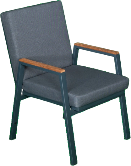 Mercury Dining Chair — finish 2